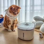 대용량 고양이 정수기 음수량 늘리기 좋은 바비온 급수기 물그릇