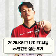 2024 K리그 FC서울 12라운드 vs 인천utd 집관 후기