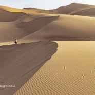 몽골여행 고비사막 홍고린엘스 풍경