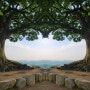 부여 여행)연인들의 사진명소/ 성흥산성 사랑나무