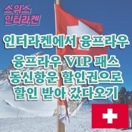 인터라켄에서 융프라우 가는 법 동신항운 할인권으로 융프라우 VIP 패스 구매해서 융프라우 구경하고 피르스트 공기만 맡고 돌아오기