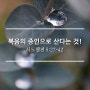 복음의 증인으로 산다는 것! / 사도행전 5:27-42