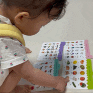 육아일기 | 484~486일💚 15개월 아기 집에 있는 물건 찾기 놀이, 급 친정 방문!