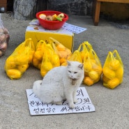 살다가 이런 사람은 끊어버리세요