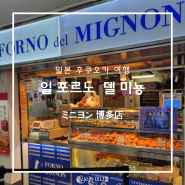 후쿠오카 하카타역 디저트 빵 맛집 미뇽 크루아상 일 포르노 델 미뇽 웨이팅 종류 가격