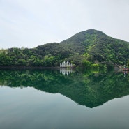 의림지 한방치유숲길 비룡담저수지 산책로 걷기