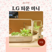 가정용 식물재배기 엘지 LG 틔운 미니 씨앗키트 수경재배기 리뷰