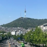 눈도 마음도 지갑도 즐거운 주