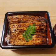 일본/ 가와구치코 우로코(Uroko) 장어덮밥(우나기동) 맛집맛집