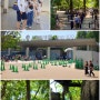 [일본여행] 일본 도쿄 우에노공원 上野公園 미도리의날 みどりの日 입장무료 ㅡ 2024년5월4일 토요일