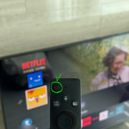 [삼성 TV] 스마트 티비, 넷플릭스, Netflix 앱 실행 시 검정 화면 - 간단한 해결 방법 ⬛ 😥