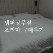 광주 신혼 혼수 침대 템퍼 상무점 구매후기 및 가격(백화점 비교)