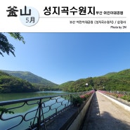 부산 성지곡수원지 - 걷기 좋은 길 [어린이대공원]_산책갑시다.