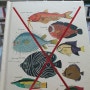 책 '물고기는 존재하지 않는다'