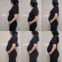 임신 37주 2일 태동검사 창원한마음 제왕절개 수술동의서 아기 3.1kg / 주수사진 모음집
