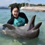 필리핀 돌고래체험 오션어드벤처 수빅베이 후기