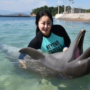 필리핀 돌고래체험 오션어드벤처 수빅베이 후기