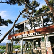 춘천 소나무숲 대형 카페 : 소울 로스터리 커피