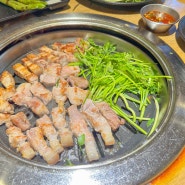 0506 고속터미널역 듀록 돼지고기 고기집 맛집 온유월식당