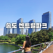 송도 센트럴파크 주차하고 보트, 사슴 구경