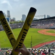 [240428] 기아타이거즈vs엘지트윈스 ⚾️직관일기⚾️ (잠실야구장 3루 네이비석 334 블럭 시야, 야구장 앞 파전닭갈비)