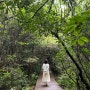 (제주도의 봄여행)서쪽 가볼만한 곶자왈도립공원 숲길 사진찍기 좋은 곳