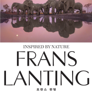 5월 가볼만한 전시회 추천, 프란스 란팅: 디어 포나 Frans Lanting: Dear Fauna