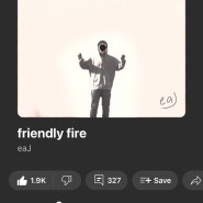 FRIENDLY FIRE