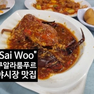 『쿠알라룸푸르』 야시장에서 맛있게 먹을 수 있는 맛집 "'Sai Woo"