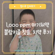 아기 불소치약 고민 그만! 블랑키즐 1,000 ppm 어린이치약, 유아 칫솔 세트 솔직 후기