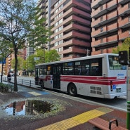 [일본]후쿠오카에서 현금으로 시내버스 타는 방법/택시 이용후기
