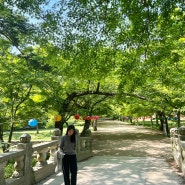 [부안] 내소사 : 전나무숲길 벚꽃여행 가볼만한곳
