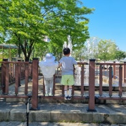 아이랑 김포 마송중앙공원