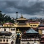 네팔 여행 중 갈 수 있는 종교여행지 리스트