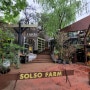 일본 도쿄 여행 - Solso Farm, Solso Park, Solso Home을 다녀와서