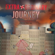 [서울 전시] 잠실 전시 추천 MUSEUM209 페데리카의 특별한 여정(Extra-Ordinary Journey)
