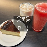 광주 용봉동 디저트 맛집 카페 : 마당 : 수박주스, 밀크티, 바스크치즈케이크