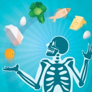 뼈 건강과 뼈골절에 좋은 음식과 요소