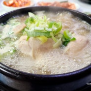 예산 숨은 맛집 덕산온천 근처 삼계탕이 예술인 곳