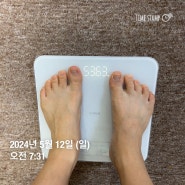 24시간 단식 도전!(24.05.12/53.63kg)