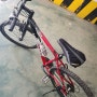 #자전거타기 #장미꽂축제 #장미공원