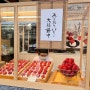 일본 후쿠오카 여행 다자이후 맛집 간식 우메가에 모찌 딸기