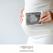 임신 기형아검사 1차 2차 시기 니프티검사 양수검사 다운증후군 원인