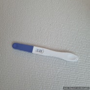 [임신일기]5-6주: 또다시 시작되는 임신일기