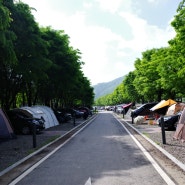 서울에서 가까운 가성비 캠핑장 추천 한탄강캠핑장