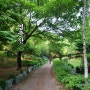 서울 여행 - 노원 산책 명소 영축산 순환산책로