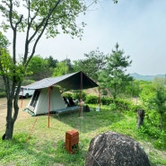 홍천에서 솔캠 차박 하기 좋은 조용한 캠핑장