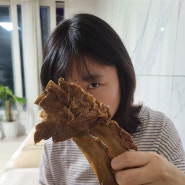 대전 원내동맛집 양반감자탕 뼈찜 먹어본 후기