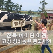 전북 여행 고창 상하농원 체험 상하목장 동물먹이주기, 입장료
