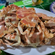 호이안 맛집 안방비치 로컬 해산물 맛집 레스토랑 사우 (게 오징어 조개찜 가격)